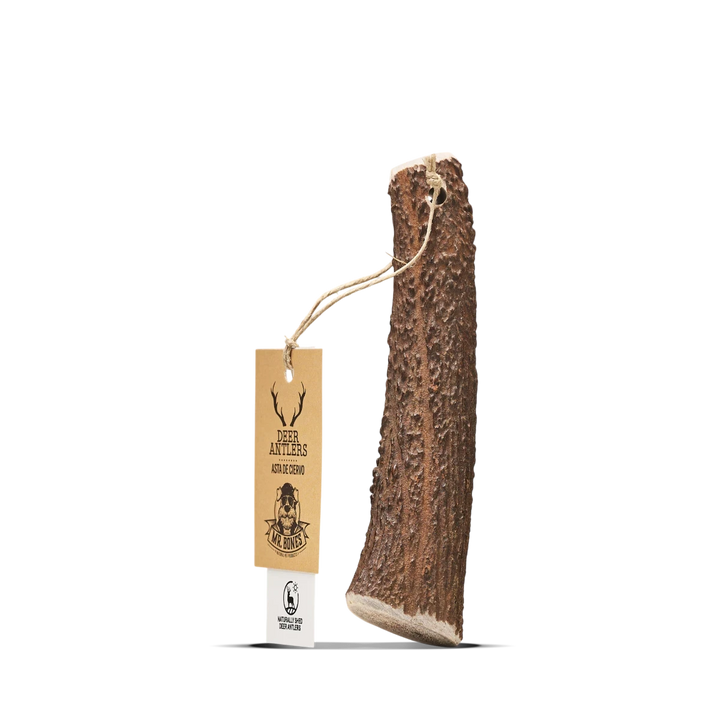 MR BONES - Deer Antler Natural Dog Chew