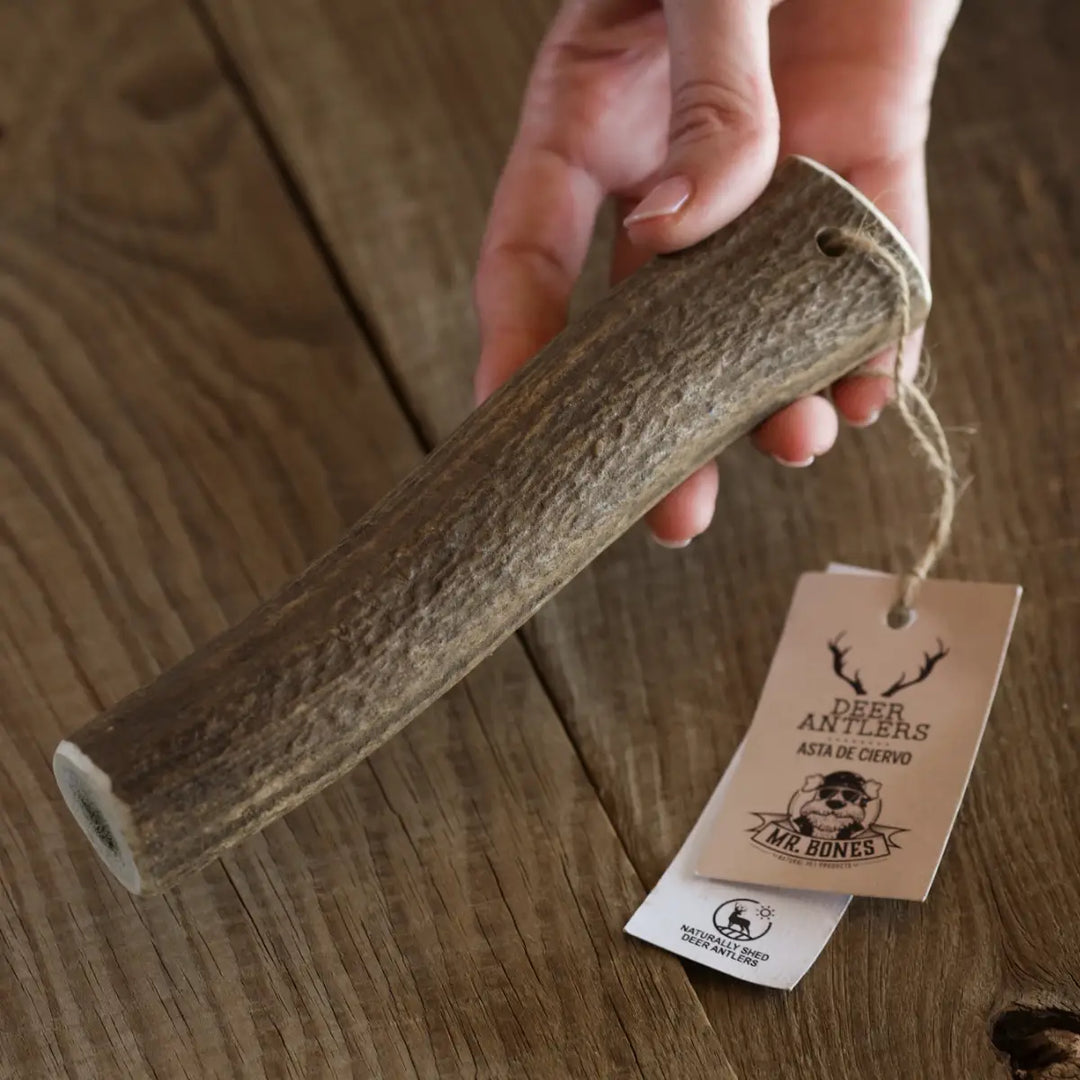 MR BONES - Deer Antler Natural Dog Chew