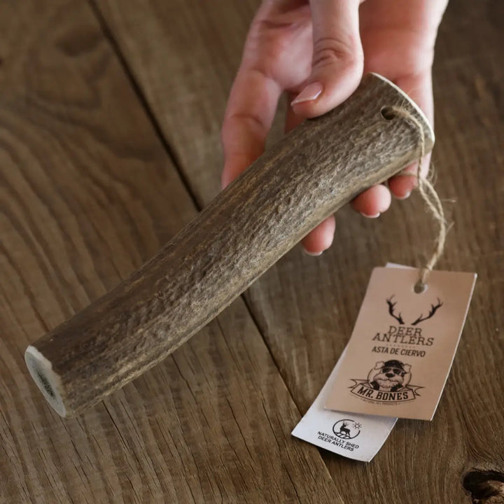MR BONES - Deer Antler Natural Dog Chew