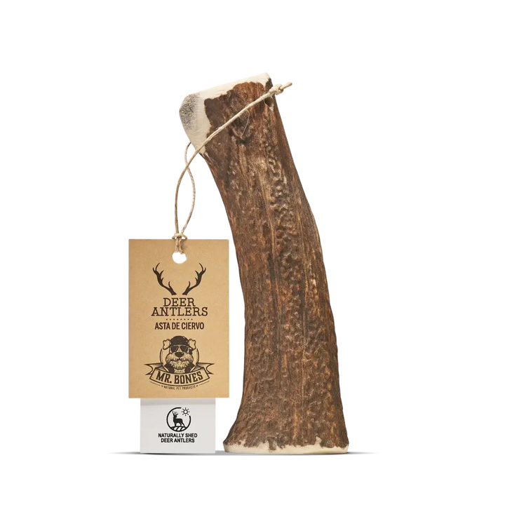 MR BONES - Deer Antler Natural Dog Chew