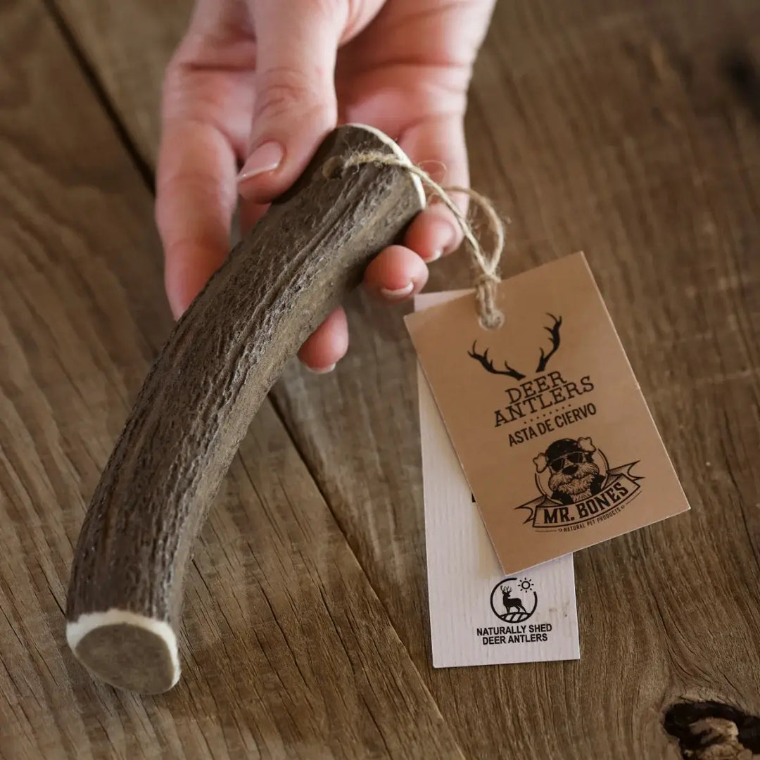 MR BONES - Deer Antler Natural Dog Chew
