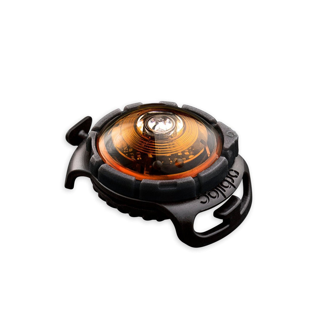 Orbiloc Dog Dual LED Safety Light - OhMyDog&Co
