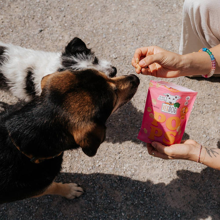VEGDOG - POPS - Snack Vegan para Cães