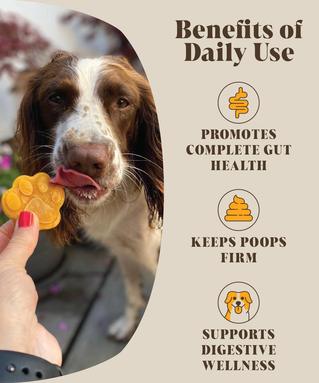 Hackney Dog House - Abóbora e Probióticos para Cães
