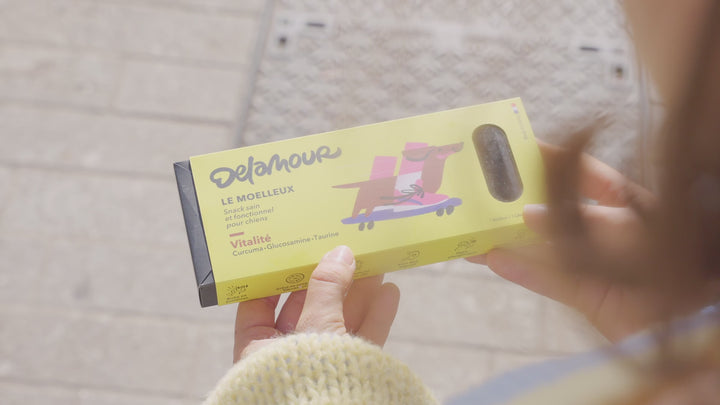 DeLamour - Le Moelleux Vitality Vegan Dog Treats