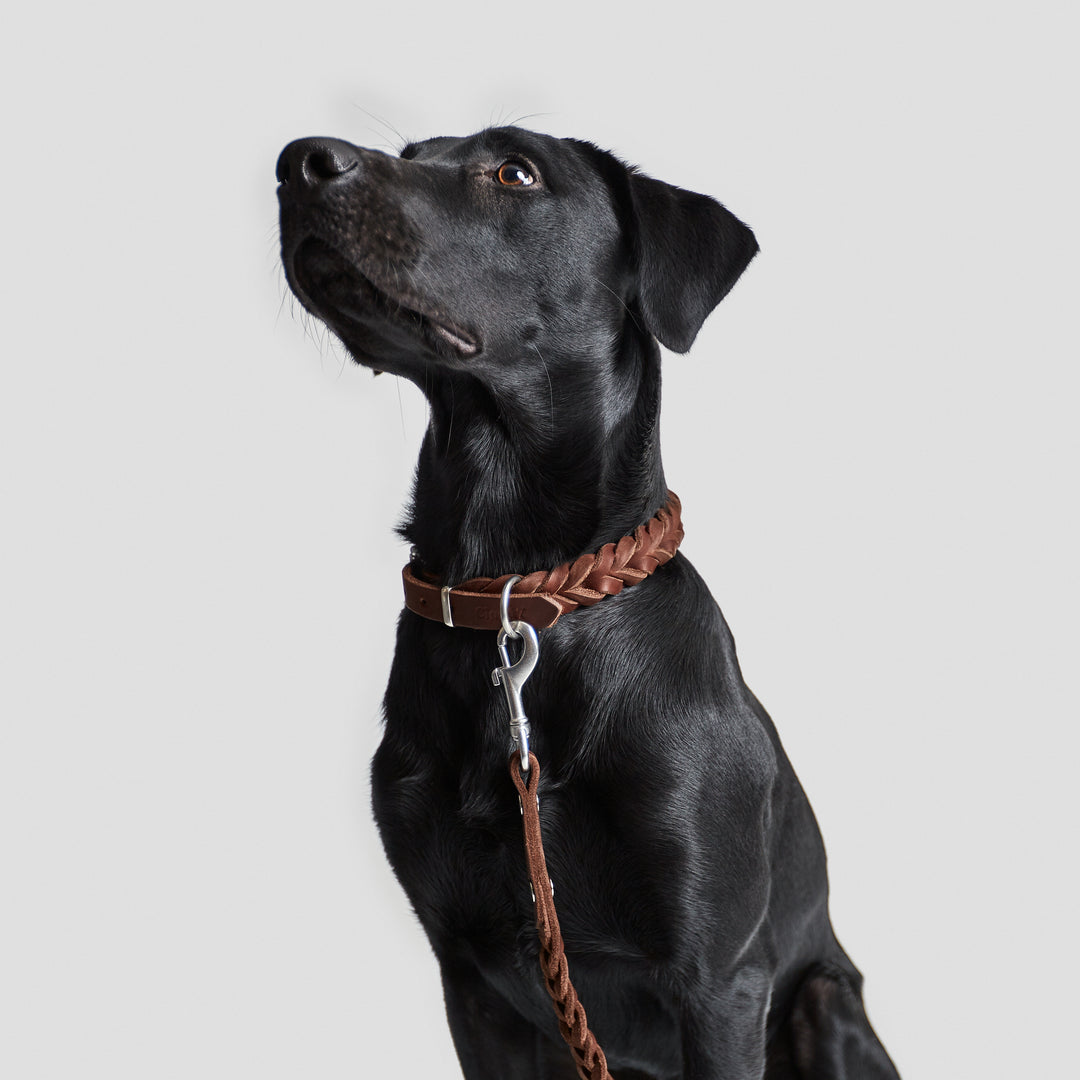 Cloud7 - CENTRAL PARK Leather Leash