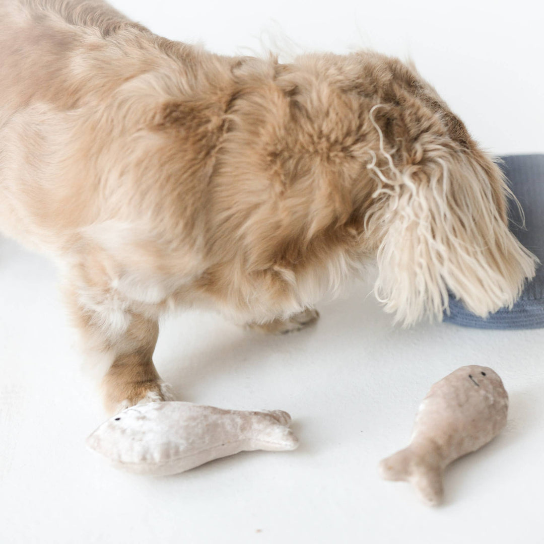 Lambwolf - SARDINES - Enrichment Toy - OhMyDog&Co