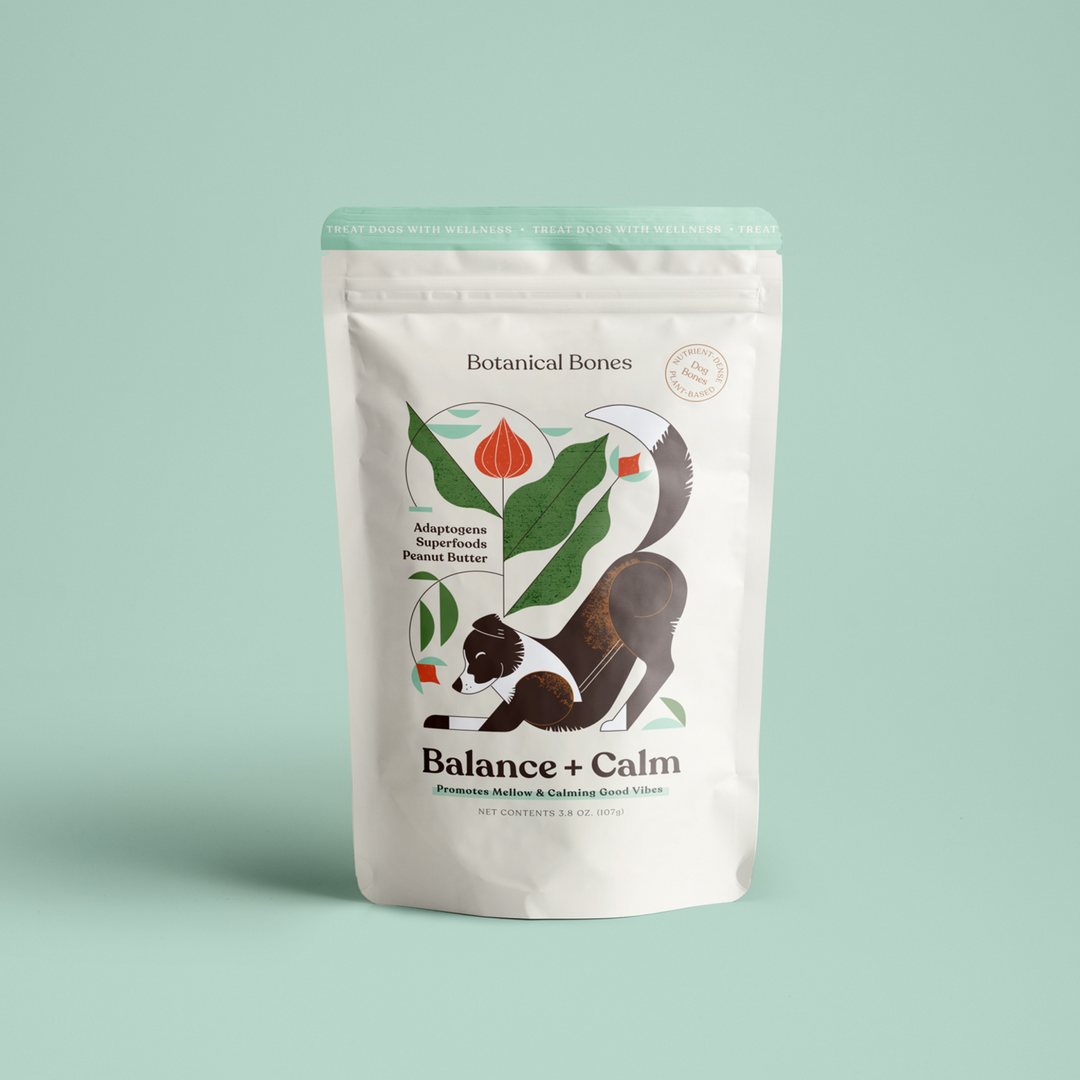 Botanical Bones Balance + Calm dog treats in a resealable white pouch, featuring adaptogens, superfoods, and peanut butter. The packaging shows an illustration of a relaxed dog with plants, emphasizing the product’s purpose of promoting mellow and calming good vibes. These natural, organic dog treats are perfect for conscious dog parents looking for high-quality, organic pet care products.