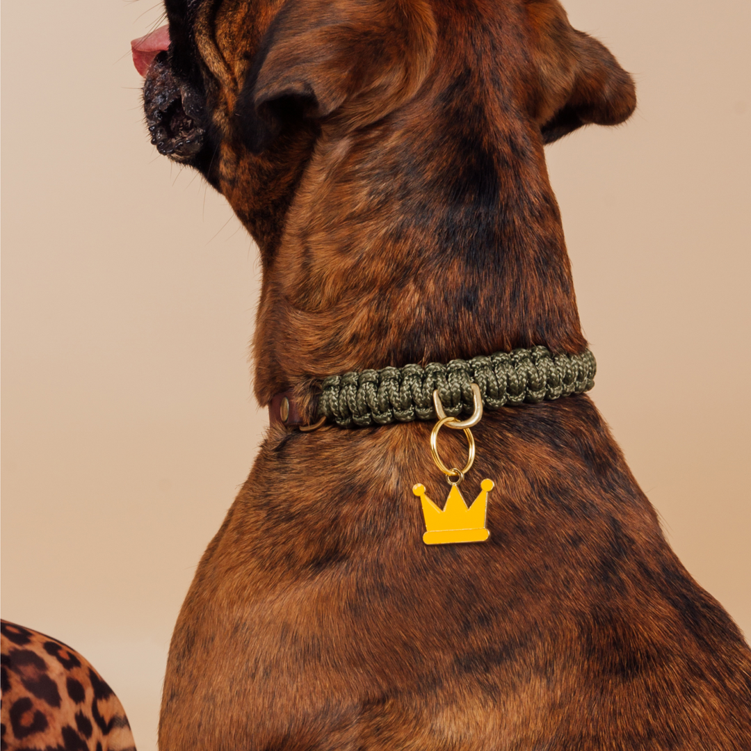 Brooch - Personalised ROYAL CROWN Dog Tag